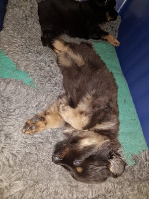 ausruhen, schlafen und erholen