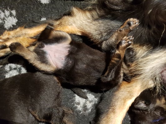 jede Stellung geht zum schlafen