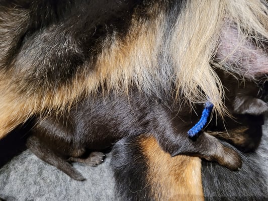 ganz nah bei Mama Ayla