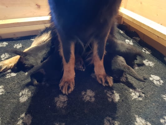 auch so kann man trinken