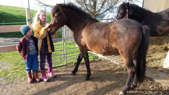 Mala 1,5 jährig kurz nach der Ankunft in der Schweiz