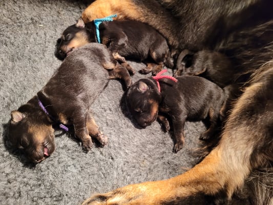 und viiiel am schlafen