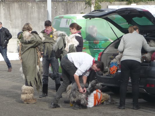 mit seinem Stulpen-Spezial-Verschliess-Mechanismus ist Aprikusi von jetzt an immer zuerst angezogen