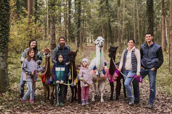 Kinder und Erwachsene gemeinsam mit Alpakas im Wald unterwegs
