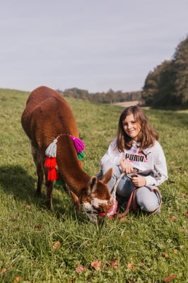 Sanfte Tiere, frisches Gras und viel Ruhe