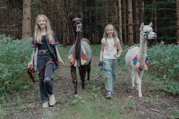 Alpakas & Lamas am Pointnerhof – bereit für die Familienwanderung