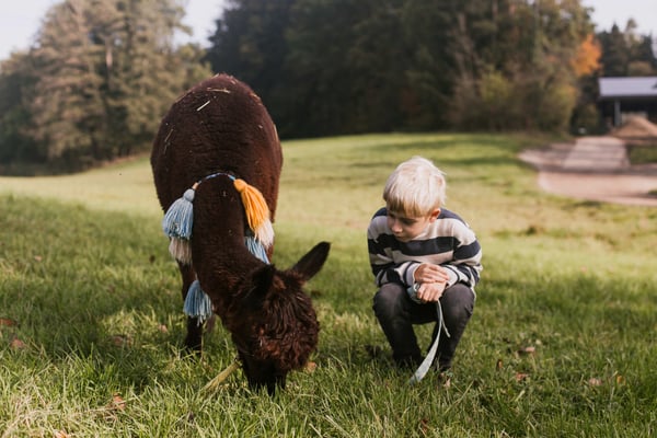 Kuschelige Nähe – so viel Vertrauen in einem Blick