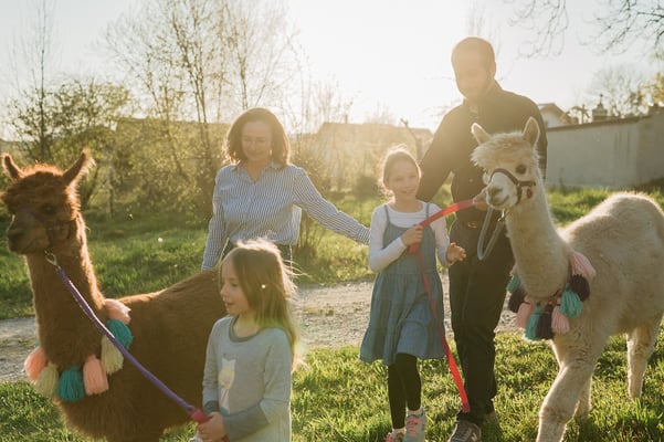 Lachen, Staunen, Entdecken – Familienzeit mit Alpakas