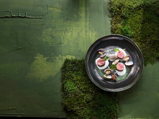 FALSTAFF ALPE ADRIA FOTO: KONRAD LIMBECK