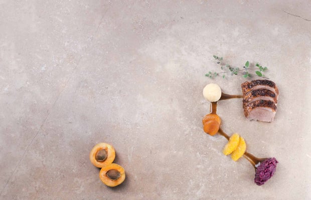 FALSTAFF BOOKAZINE BURGENLAND FOTO KONRAD LIMBECK