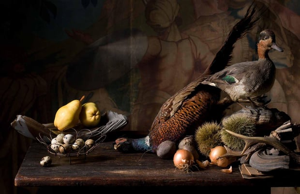 FALSTAFF WILD FOTO: KONRAD LIMBECK