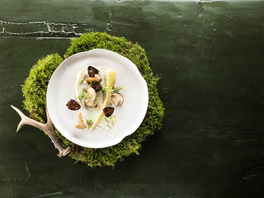 FALSTAFF BOOKAZINE JÄGERBALL FOTO: KONRAD LIMBECK