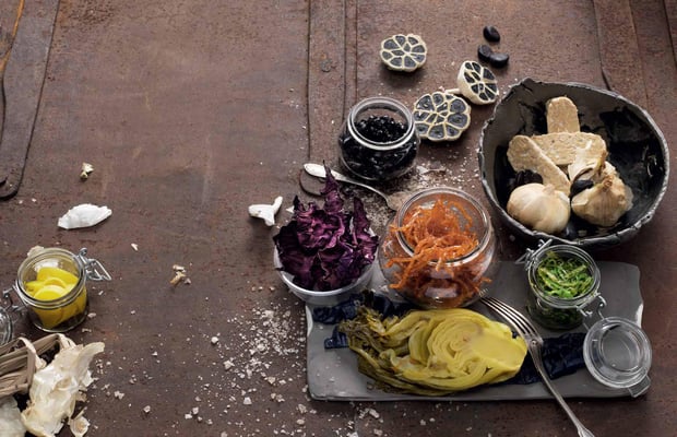 FALSTAFF MAGAZIN FERMENTATION FOTO: KONRAD LIMBECK