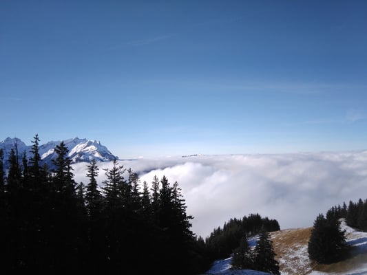 vom Fähnerenspitz aus. In er Ferne der Kronbergspitz wenig über dem Nebelmeer.