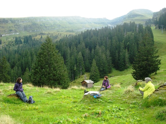 Besprechung.......und