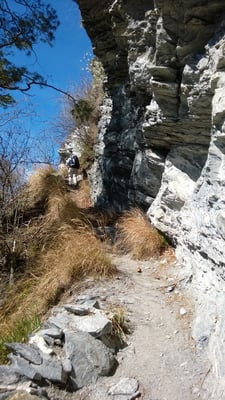 die andern wandern zurück nach Fläsch