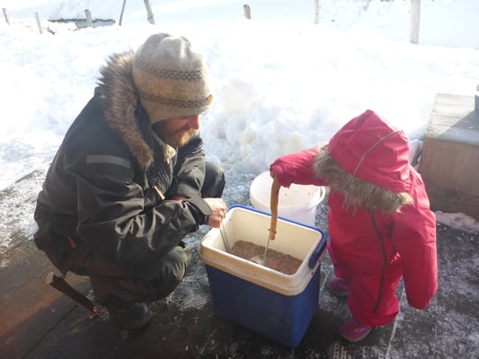 Alva hilft mit beim Füttern der Hunde