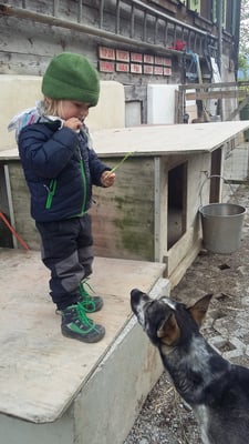 Hmmm mal probieren, leckerlecker