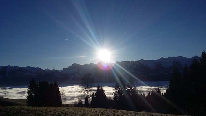 Herrliche Morgenstimmung