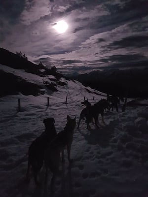 Unterwegssein bei Vollmond ist immer wieder was ganz Besonderes!