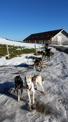 und dann hats wieder geregnet...