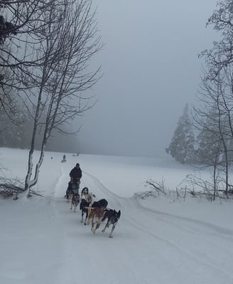 Elias und Team in voller Fahrt... 