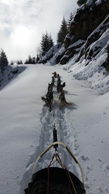 Private Tour,  hartes Arbeiten im nassen Schnee...