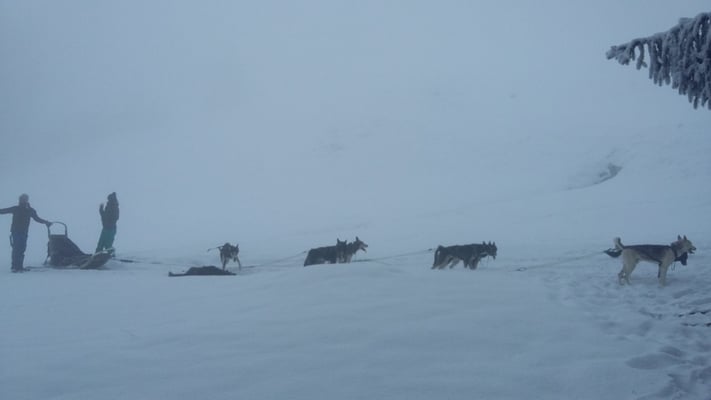 Gästefahrten im Nebel