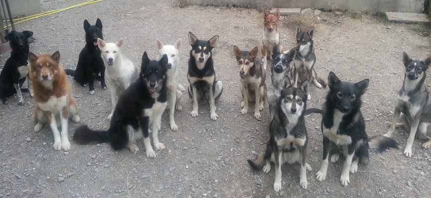 Mal wieder ein Gruppenfoto!