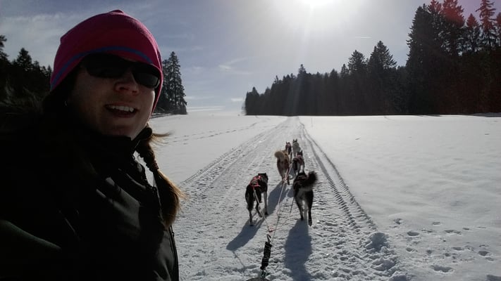 Herrlich, der schön präparierte Trail, da können die Hundis mal schön Gas geben!