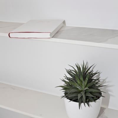 Baldas su keraminio akmens lentynomis