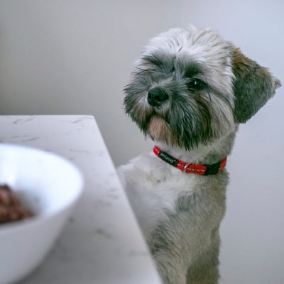 Kvadratinis virtuvės stalas iš kvarcinio akmens silestone