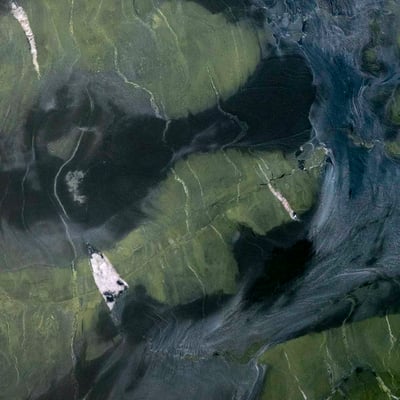 Avocado quartzite slab