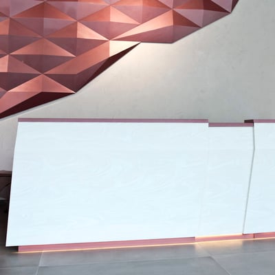 Verslo centro registratūra iš akrilinio akmens / gamintojas - Gforma