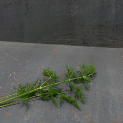 Floor from large format grey ceramic slabs