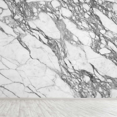 White marble decorative wall with veins
