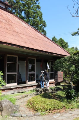 お庭で昆虫採集