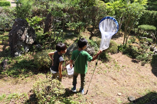ワークショップを抜け出して昆虫採集
