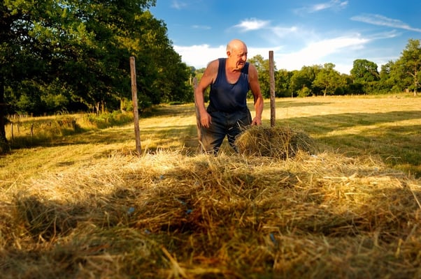 Farming in the Ardennes - © François Struzik - simply human 2010 - Hénumont - Belgium