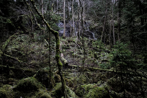 Solvik, Dalsland, Sweden  © François Struzik - simply human 2019