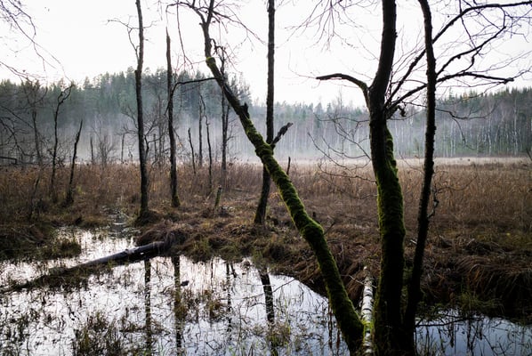 Solvik, Dalsland, Sweden  © François Struzik - simply human 2018