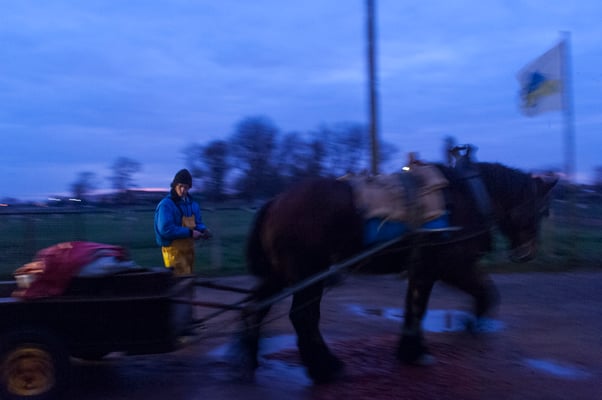 Horseback shrimp fishermen of the North Sea - Belgium- © François Struzik - simply human 2009