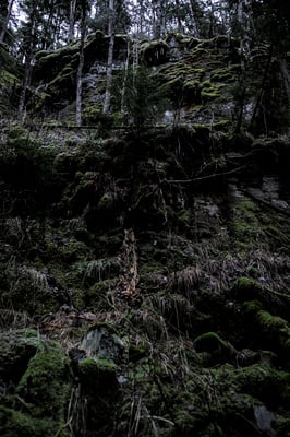 Solvik, Dalsland, Sweden  © François Struzik - simply human 2019