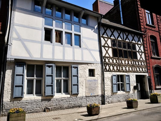 Dinant, a town full of history - © François Struzik - simply human 2015 - Belgium- Maison de la Pataphonie