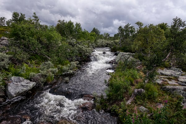 Hiking in Fulufjället, Dalarna, Sweden © François Struzik - simply human 2017