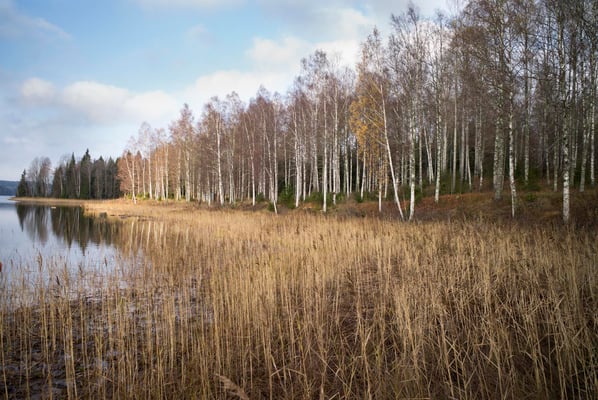 Solvik, Dalsland, Sweden  © François Struzik - simply human 2018
