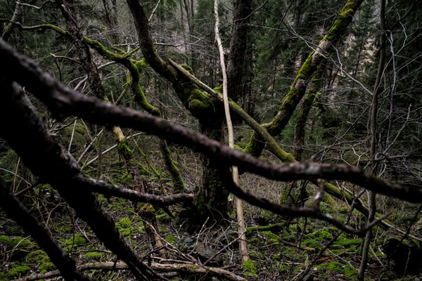 Solvik, Dalsland, Sweden  © François Struzik - simply human 2019