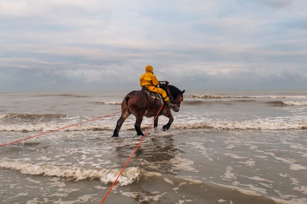 Horseback shrimp fishermen of the North Sea - Belgium- © François Struzik - simply human 2009
