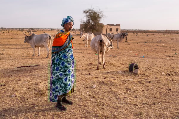 Dahra,  small scale milk producer, SOS Faim - Djolof, Senegal © François Struzik - simply human 2017