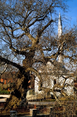 Prizren - © François Struzik - simply human 2008 - Kosovo -
